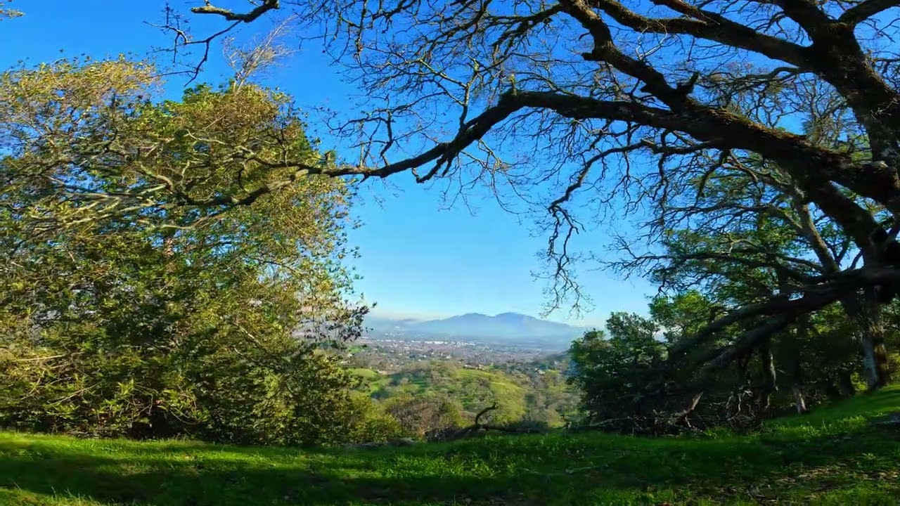 Blue Oak Trail, Lafayette, California