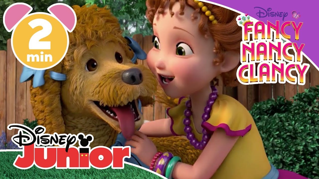 Fancy Nancy Clancy | How To Make Your Dog Fancy 🐕 | Disney Kids