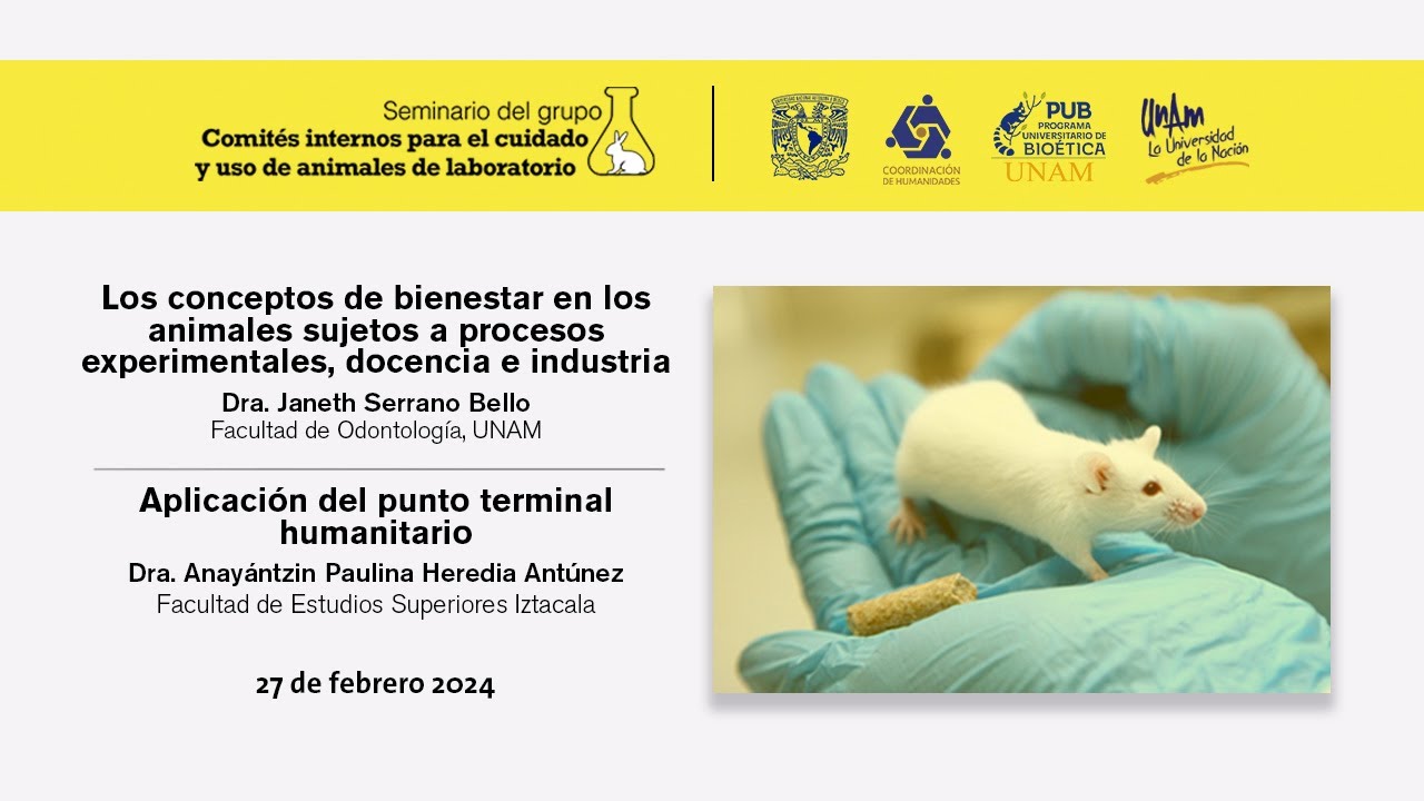 Seminario CICUALES