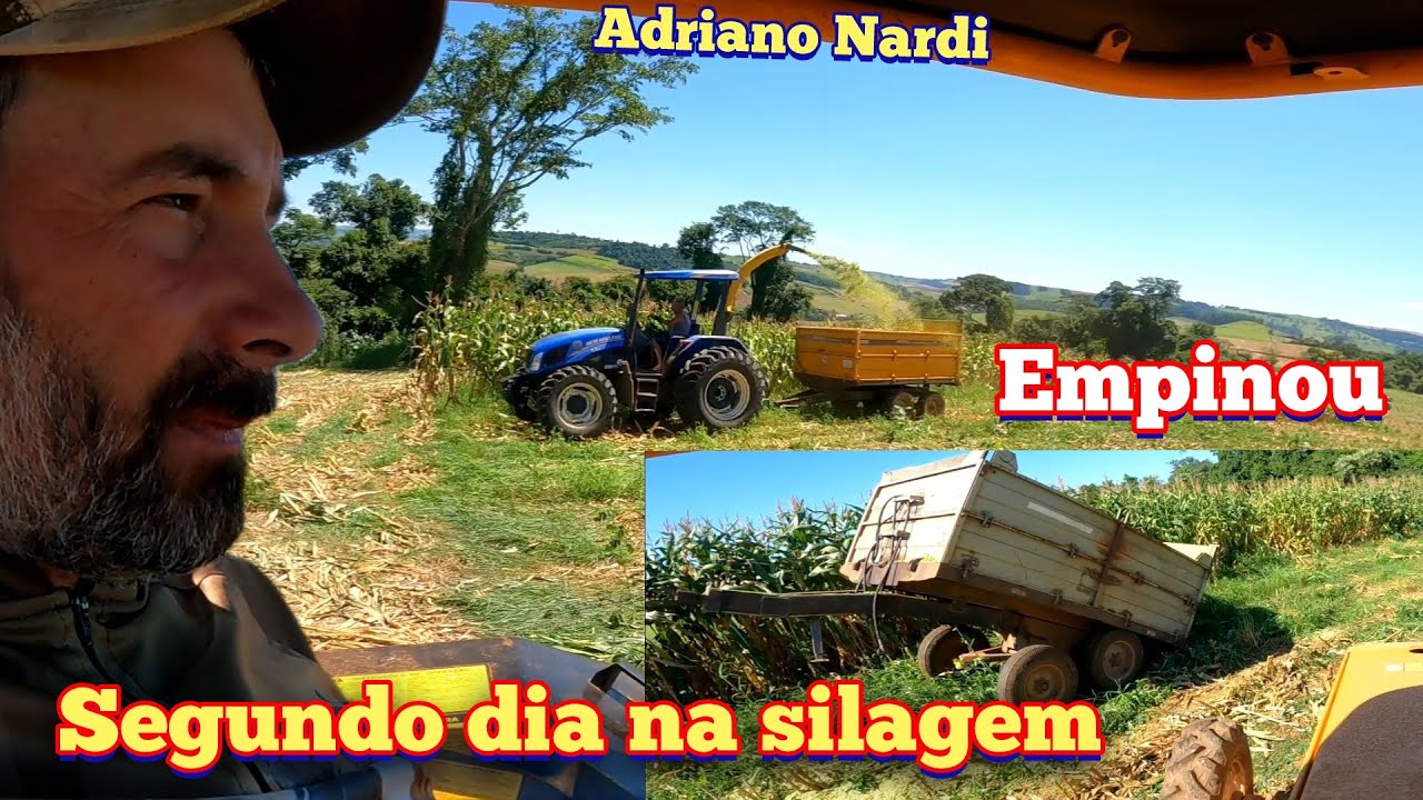 Continuamos na lida da silagem. 