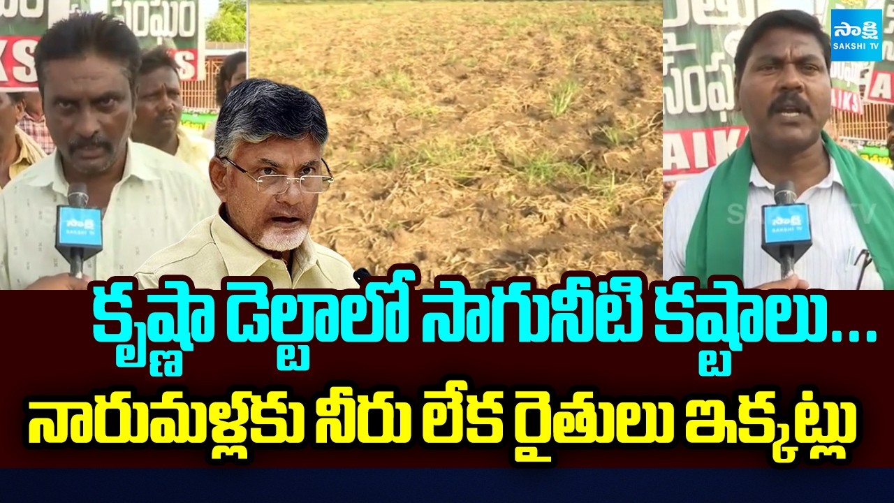 AP Farmer Problems With Krishna Delta Water Crisis | Eluru | AP News Updates | Sakshi TV