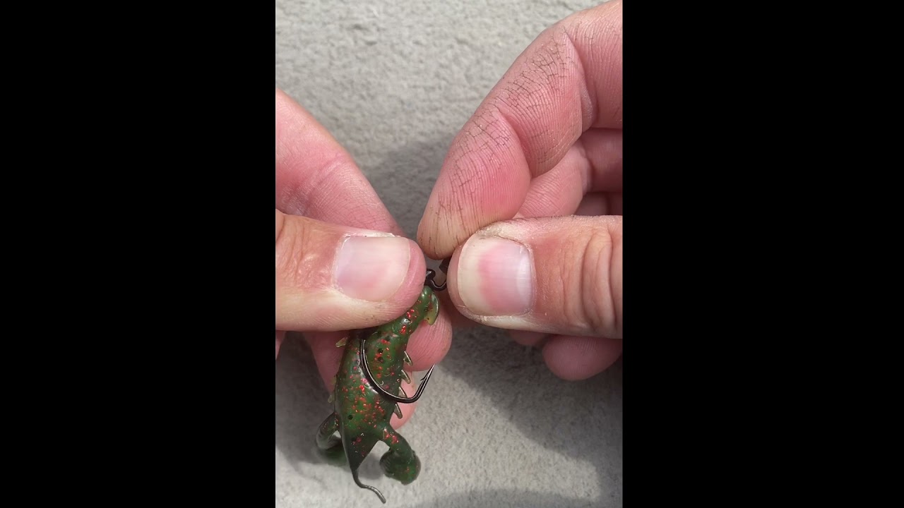 rigging Z-man Pro CrawZ and TRD craw with BulletZ hook .Foote