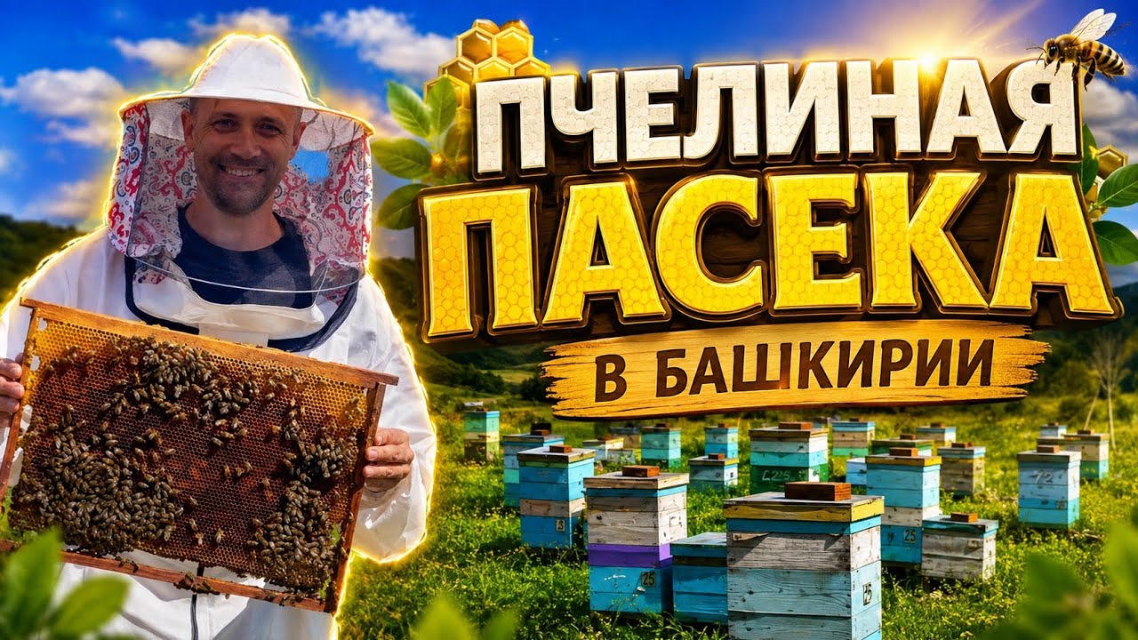 ПЧЕЛИНАЯ ПАСЕКА | БАШКИРИЯ