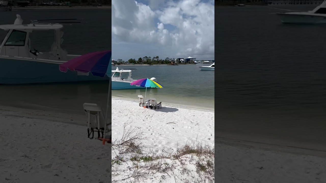Robinson Island 🏝️ 