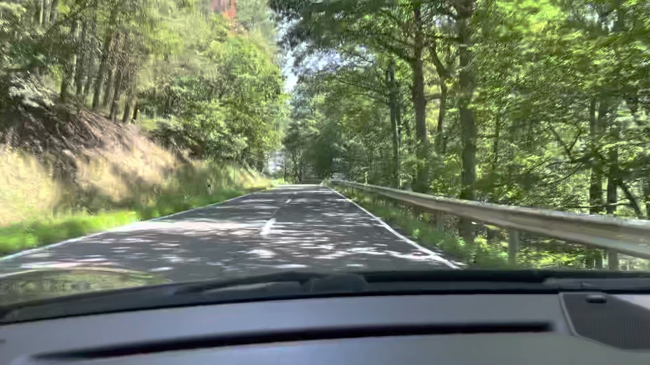 Porsche Boxster + FVD Brombacher Exhaust (TÜV Version)