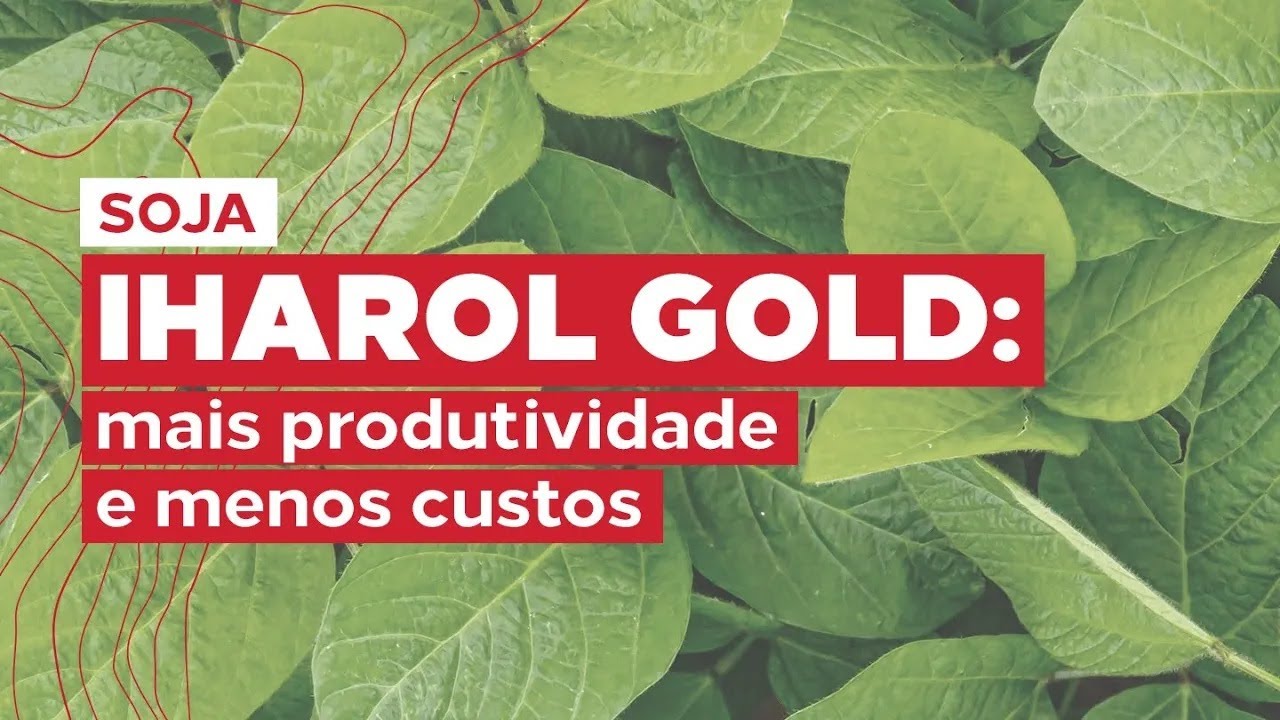 &Oacute;leo mineral IHARA aumenta produtividade e reduz custos