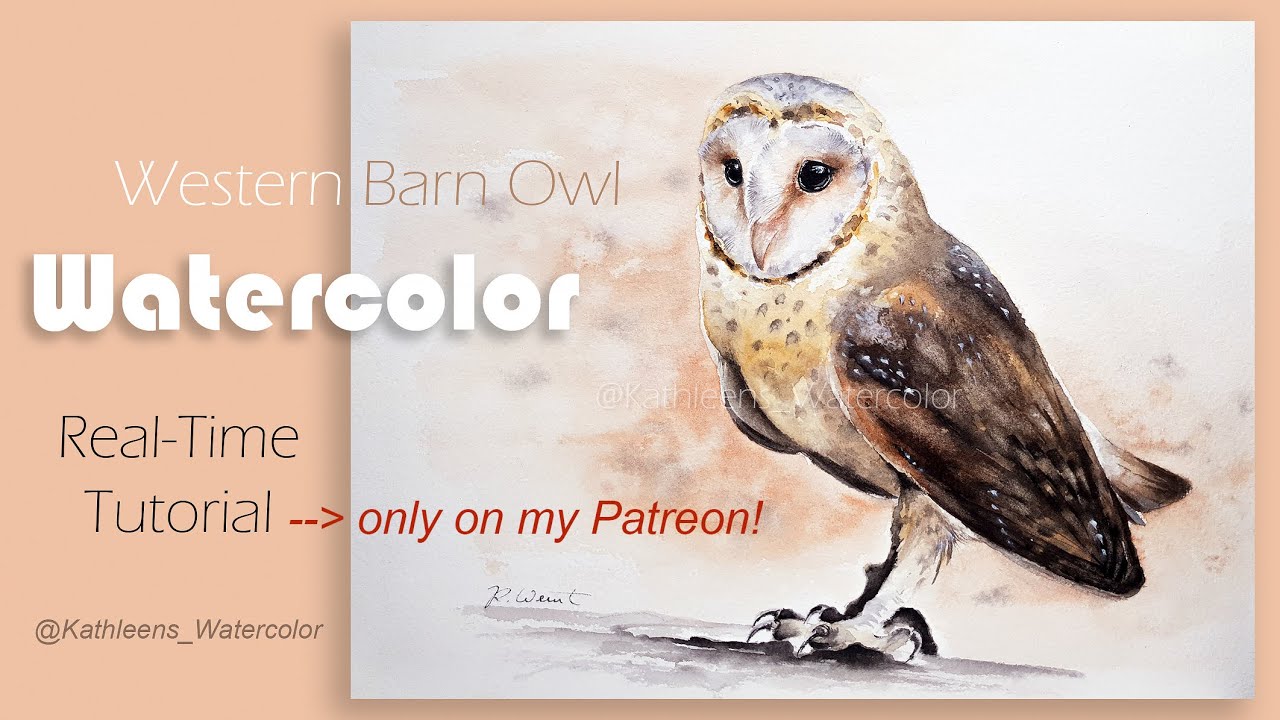 Westernbarn owl watercolor video | How to paint an owl in watercolor - watercolor bird