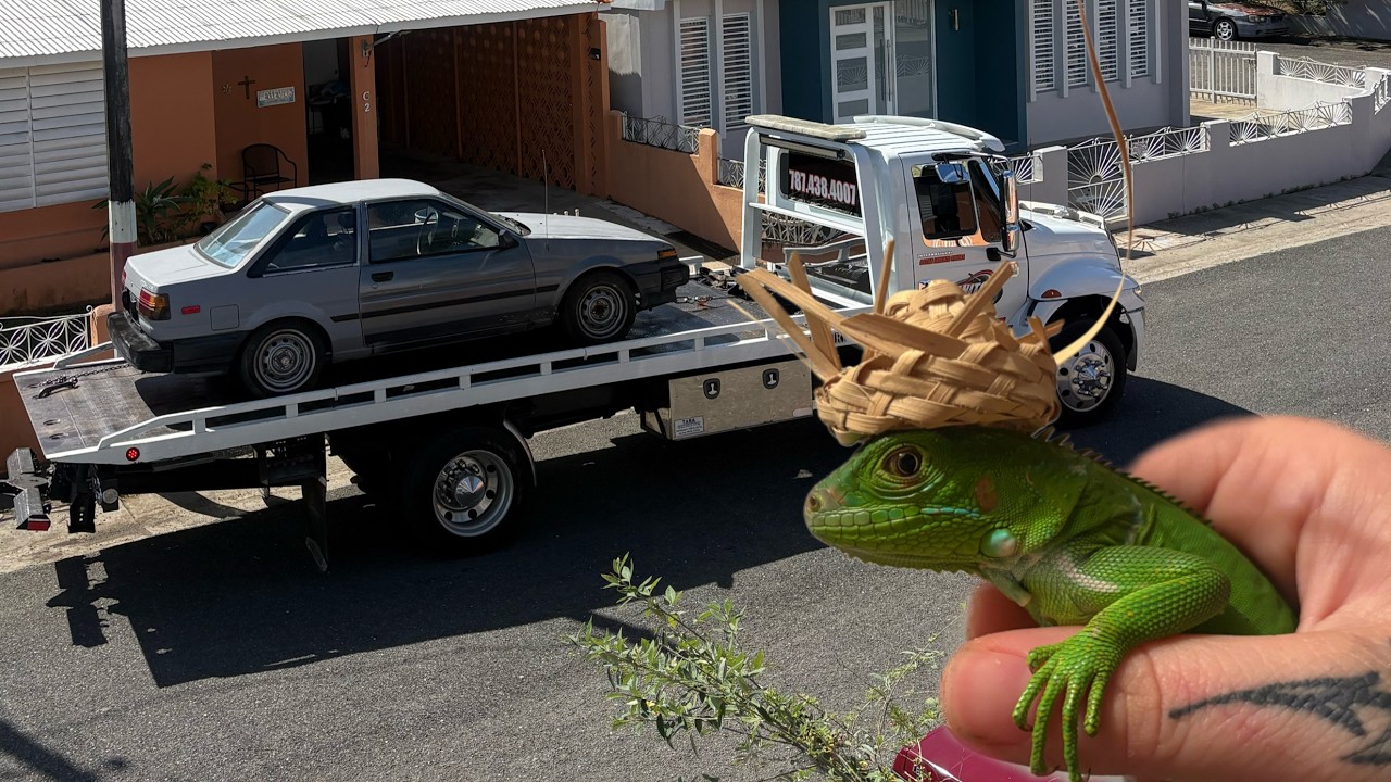 Bye Sapito, for now