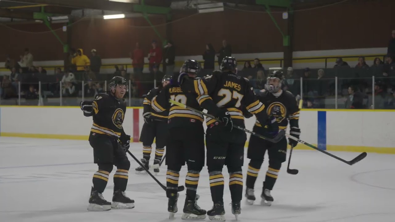 Stoney Creek Tigers Home Opener vs. Dundas Real McCoys
