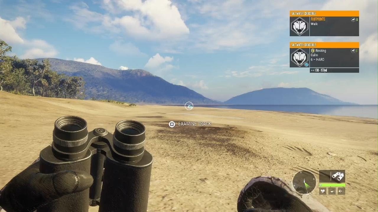 Hunting crocodile for the first time