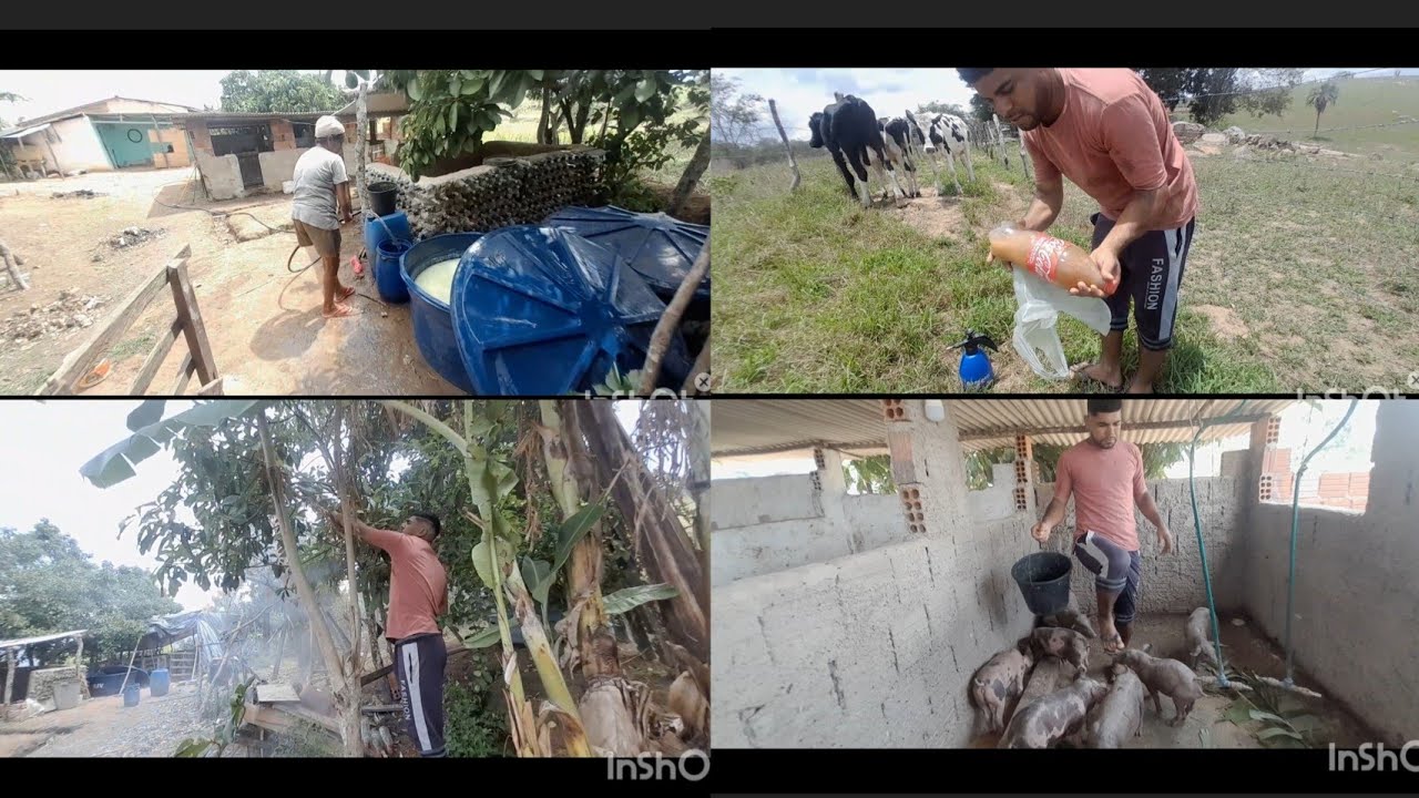 HOJE FOMOS FAZ UMA LIMPEZA NO CHIQUEIRO 