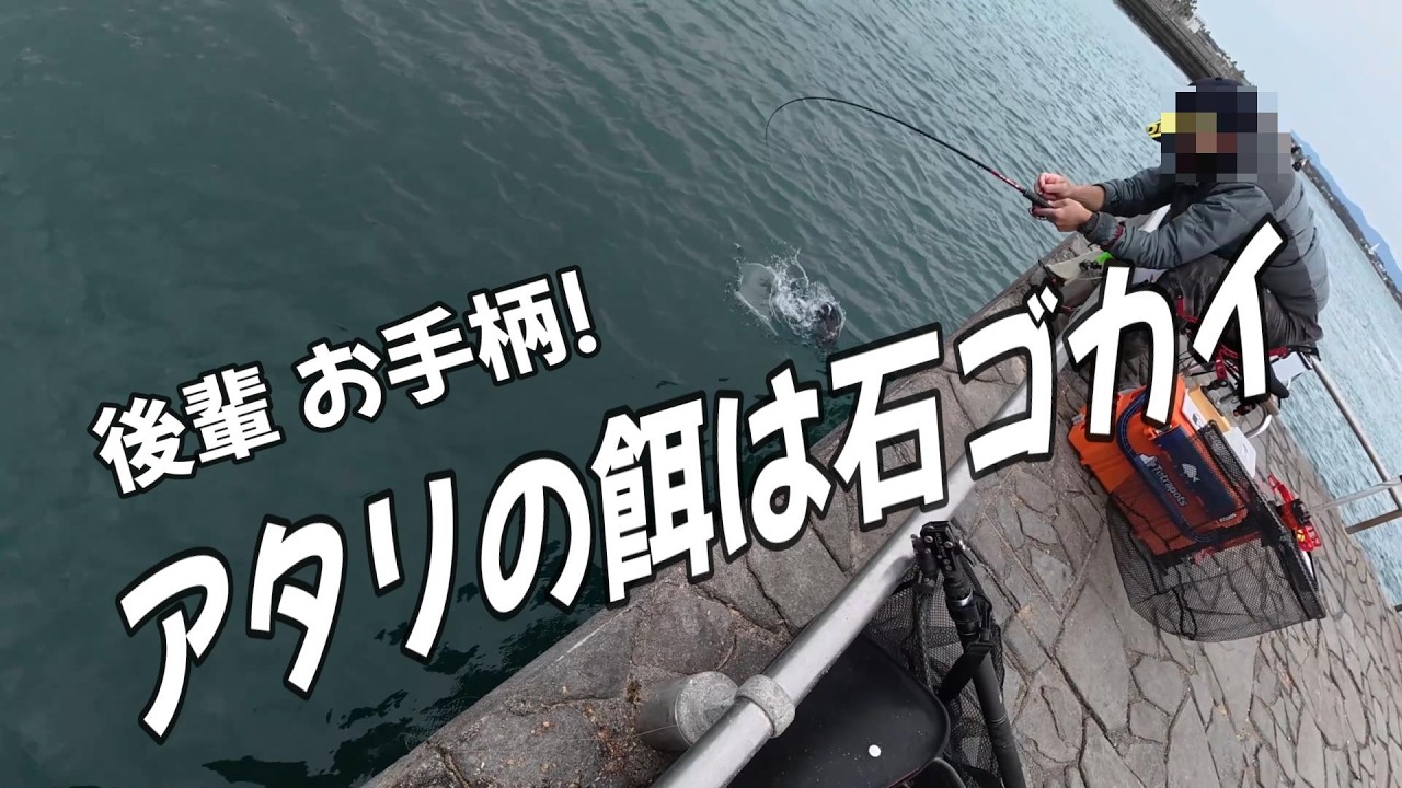 【浜名湖　釣り】後輩 お手柄！　アタリの餌は石ゴカイ
