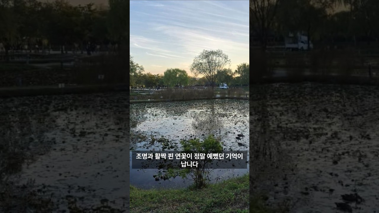 궁남지-궁남지는 백제 무왕이 조성한 우리나라 최초의 인공연못입니다. 가을의 쓸쓸함 속에서도 백제의 숨결이 느껴지는 곳입니다.#궁남지 #부여여행 #백제역사 #백제무왕 #선화공주