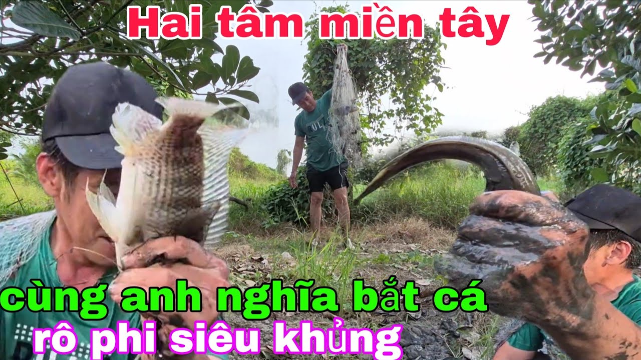 Hai tâm miền tây cùng anh nghĩa bắt cá rô phi siêu khủng.