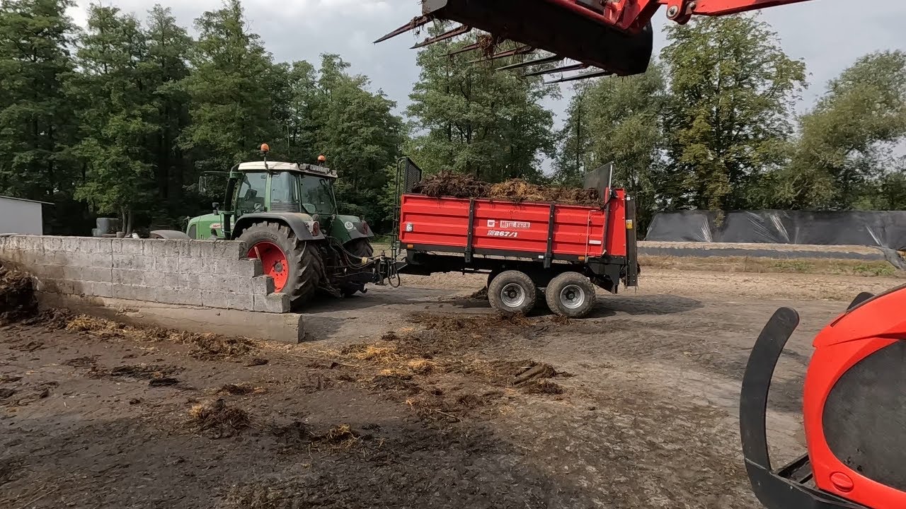 #275 Wożę Obornik Pod Trawę I Jęczmień || Uprawa Bezorkowa Na Dzierżawie || Siew Trawy ^^