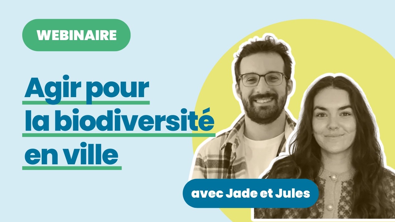 Agir pour la biodiversité en milieu urbain avec la LPO et FNE | Webinaire Clef Verte