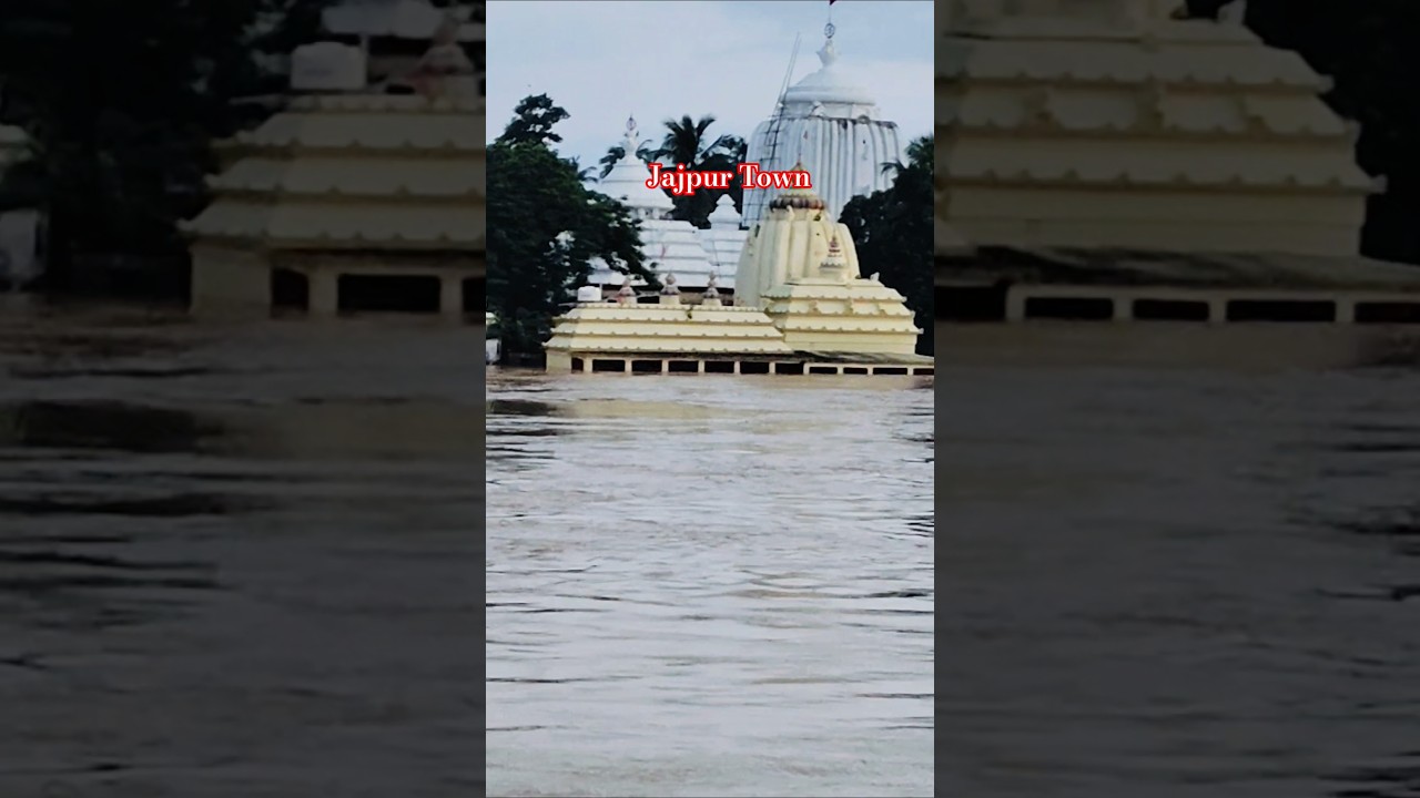 Jajpur Town Dasasani ghata#Jajpur Town Jagannath temple#shorts#youtubeshorts#jagannathbhajan