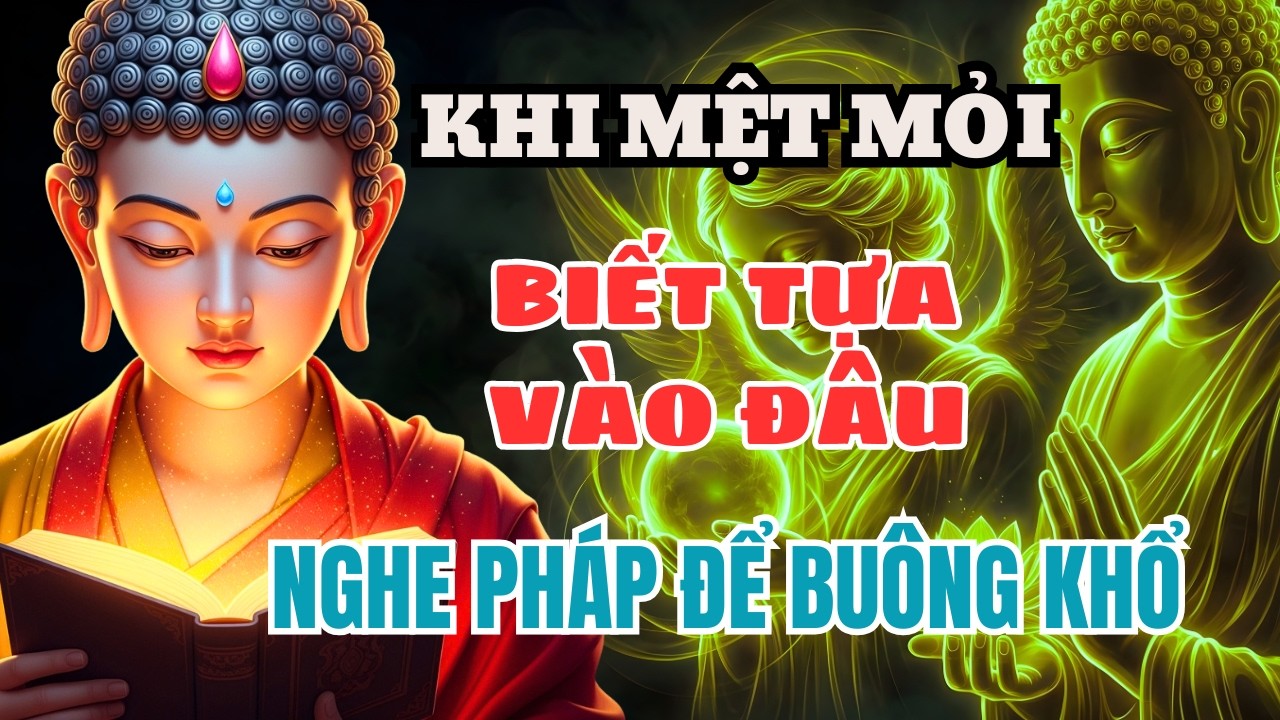Khi Lòng Mệt Mỏi Không Biết Tựa Vào Đâu – Nghe Pháp Để Buông Khổ, Tâm An Trở Lại