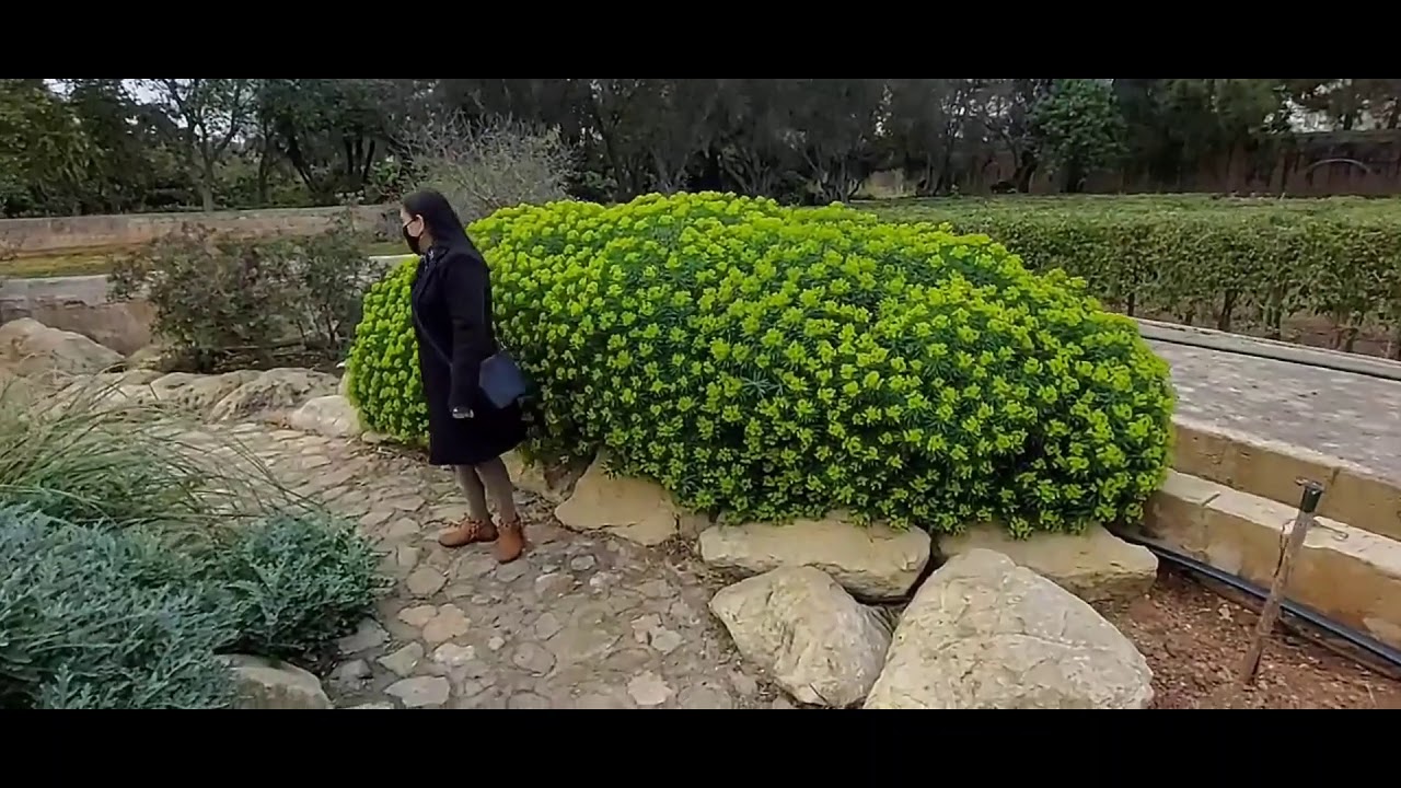 What can you see in San Anton Garden Malta Garden of a Head State