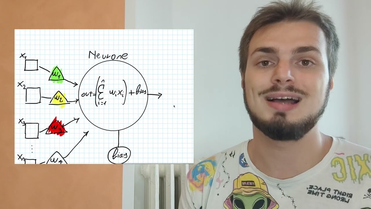 [NN] IL PERCEPTRON - DEFINIZIONE - ALGORITMO DI APPRENDIMENTO - VISUALIZZAZIONE GRAFICA.