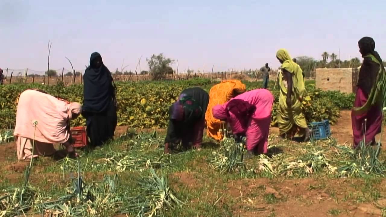 Twin track approach in Mauritania