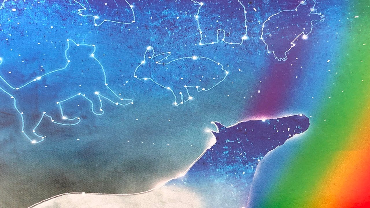 Tarot | Astrologi |👽 Andre Dimensioner & Jorden🌍| #1
