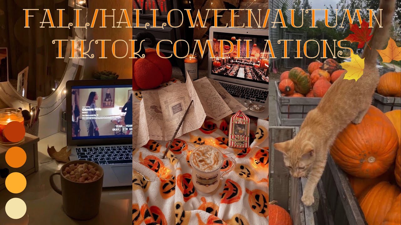 Fall/Halloween/autumn TikTok compilations fall of 2023
