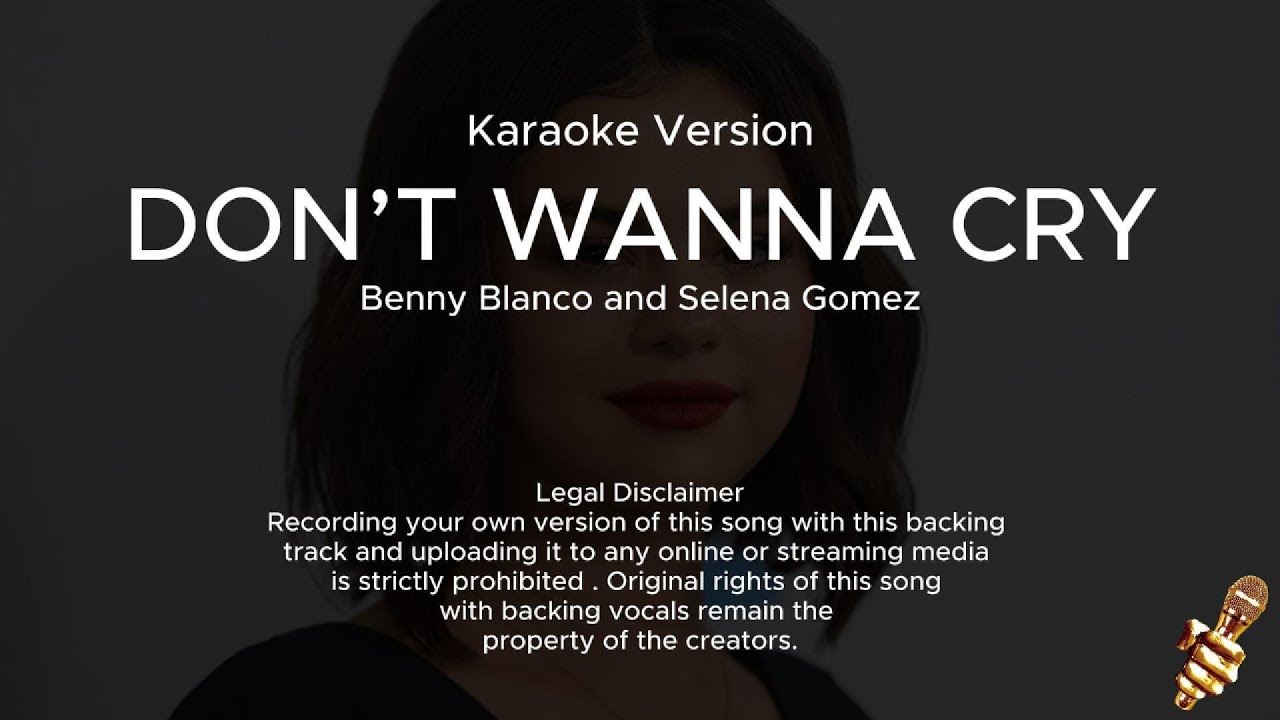 Selena Gomez, benny blanco - Don't Wanna Cry (Karaoke Version)