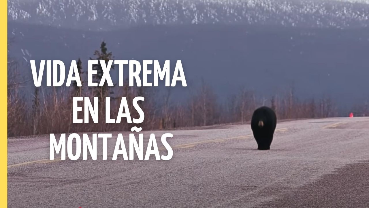 VIDA EXTREMA en las Monta&ntilde;as Rocosas | Episodio Completo