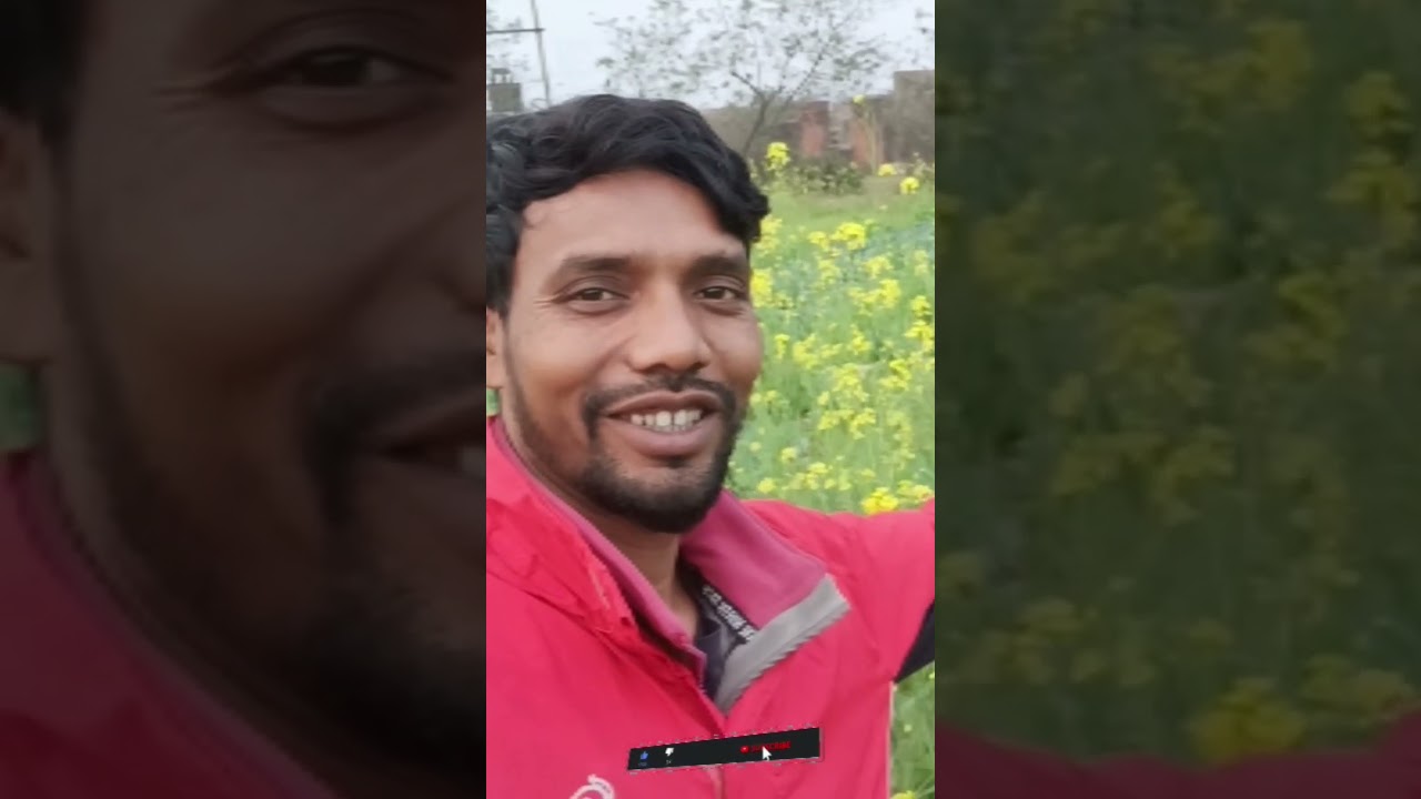 sarson ka khet