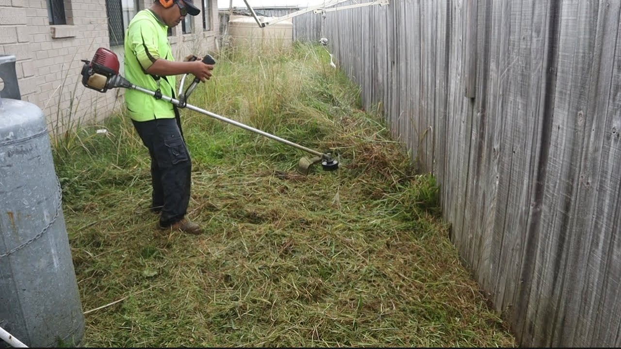 Slashing Overgrown Yard | Satisfying Outcome #mowinggrass  #satisfyingvideo  #mowingthelawn