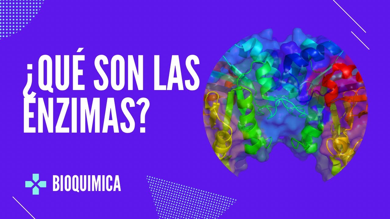 Introducción a ENZIMAS - Bioquímica básica