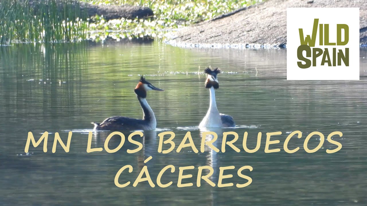 Wild Spain - Capítulo 55 - Monumento Natural de Los Barruecos, Cáceres.