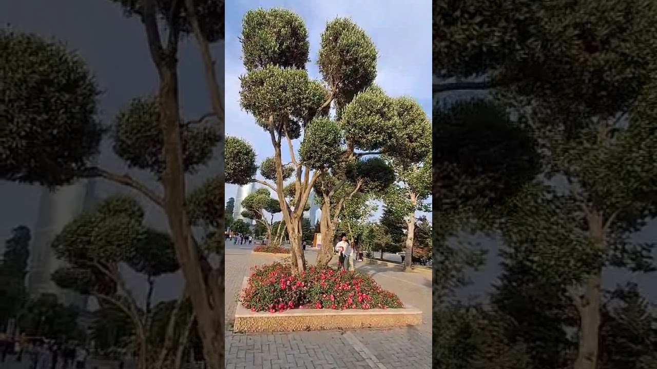 Бульвар. Баку. Bulvar. Baki
