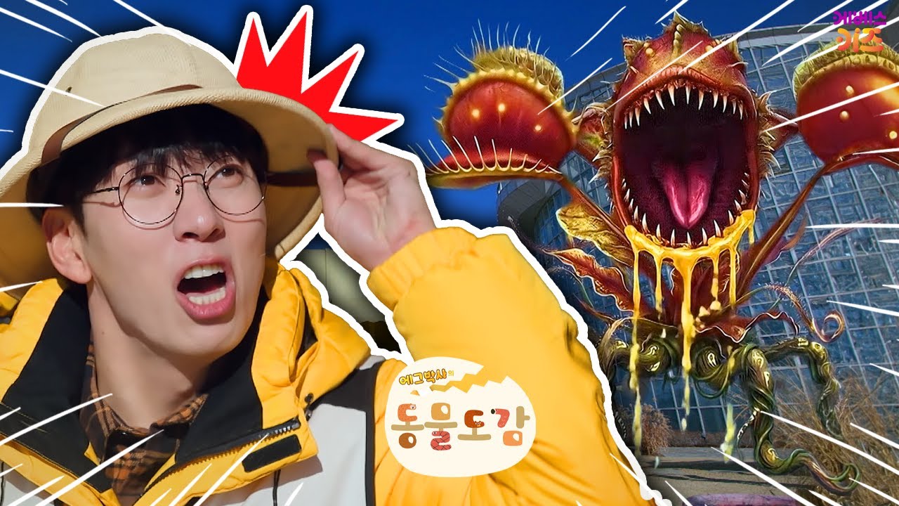 무시무시한 괴물 꽃 등장?ㅣ식충 식물ㅣ에그박사의 동물 도감ㅣKBS 260112방송