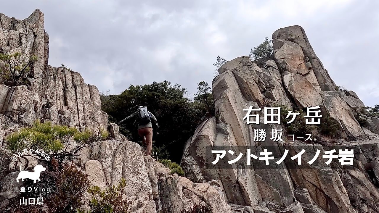 【山口県百名山】ギリギリの挑戦！滑落危機で猛反省の勝坂コース【右田ヶ岳】