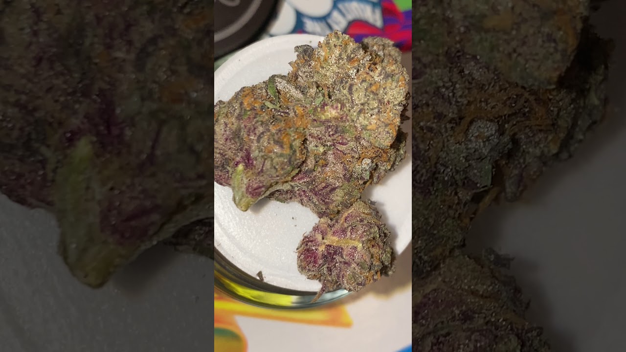 Connected Cannabis Co. Biscotti x Guava Premium Indoor Flower