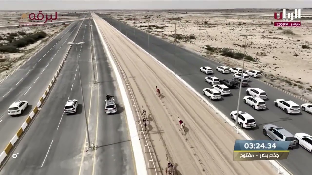 ش1 عوايد لـ هجن الشحانية - مهرجان سمو الأمير المفدى 9-3-2023م الشلفة الذهبية جذاع بكار مفتوح 8:48:52