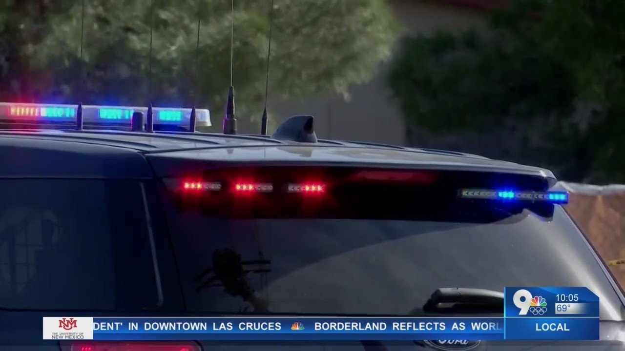 An alleged carjacking caught on camera