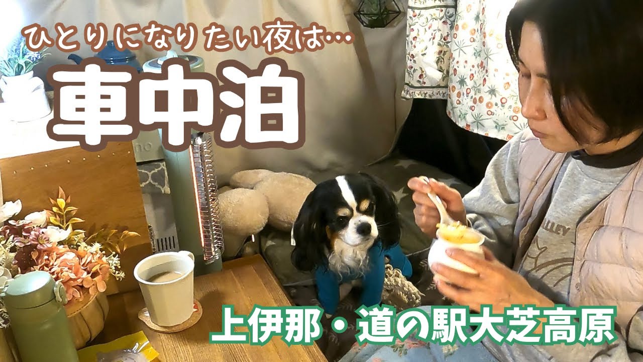 ひとりになりたい50代看護師と犬1匹。仕事を終えて車中泊に繰り出す。上伊那/道の駅大芝高原/みはらしファーム/信州伊那梅苑/とよばら食堂