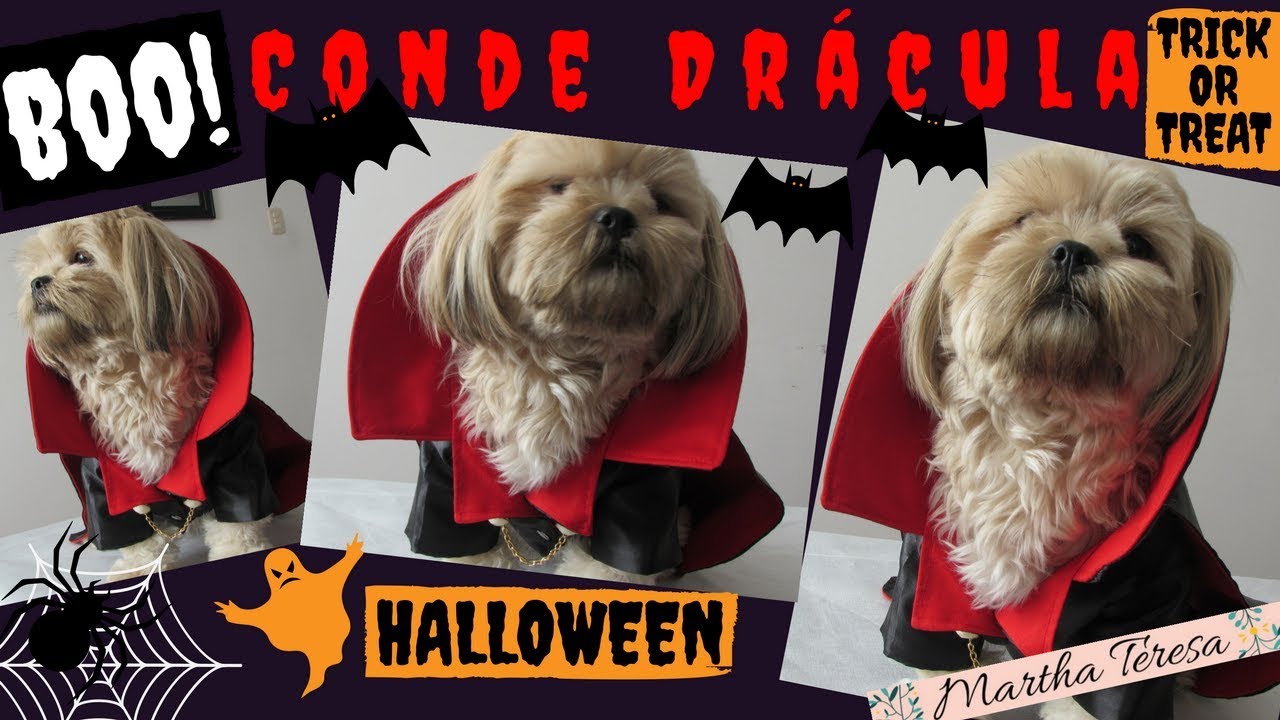 DIY Halloween-Disfraz de Conde Dracula para Mascotas.
