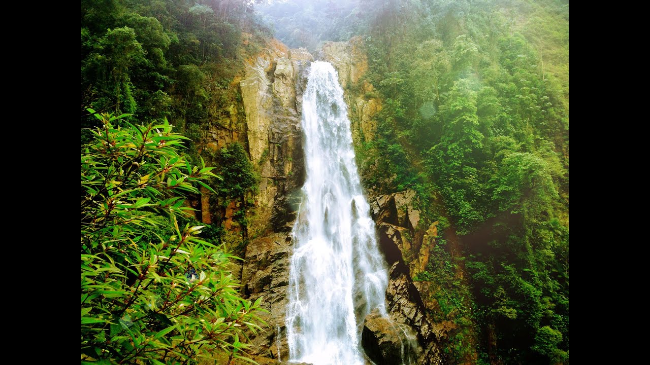 Parque Ecológico Perequê - Cachoeira Véu de Noiva