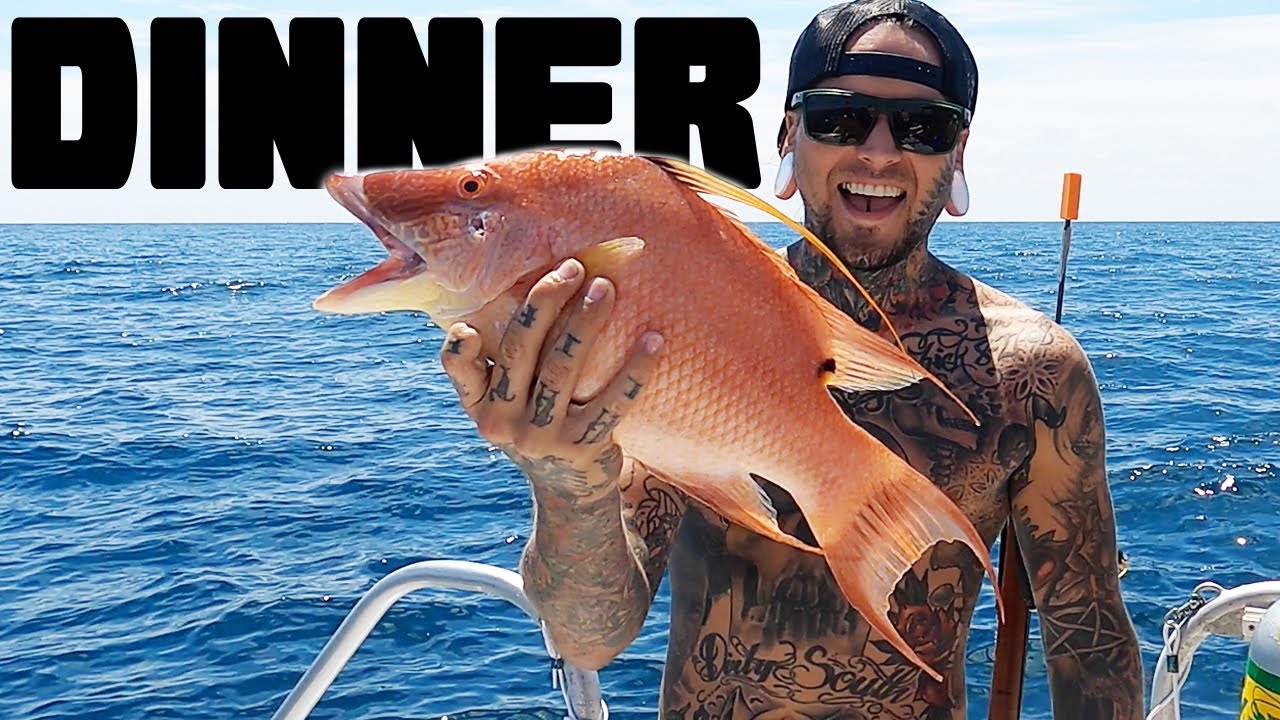 Hogfish! The BEST Tasting Fish out there!!! Wreck Diving South Florida
