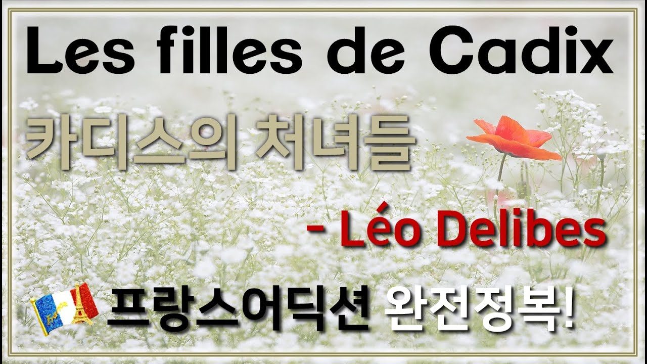 Delibes : Les filles de Cadix 카디스의 처녀들 - 홍연출의 프랑스어 뜻풀이 & 딕션 완전정복! 노래로 배우는 프랑스어!!