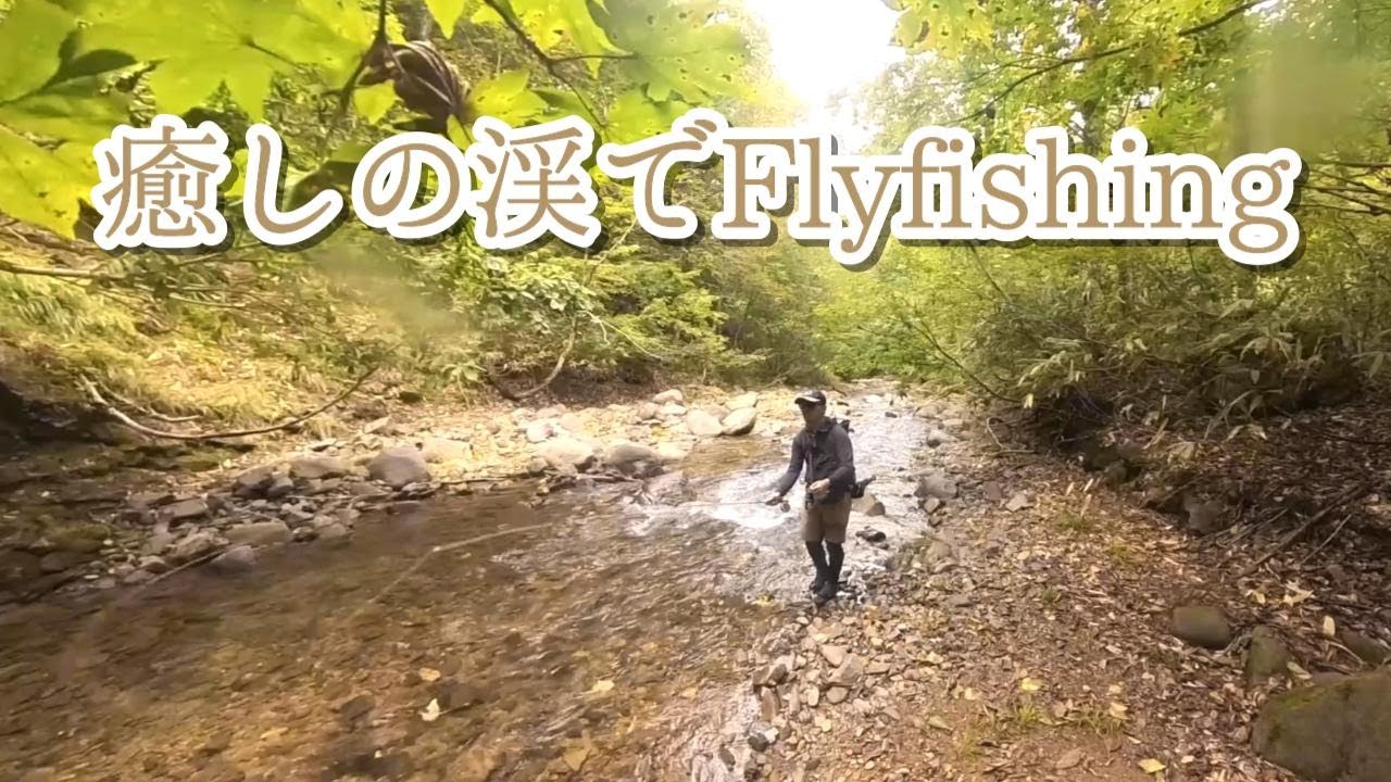 【フライフィッシング】9月中旬天然岩魚が生息する癒しの渓でFlyfishingをしてきました
