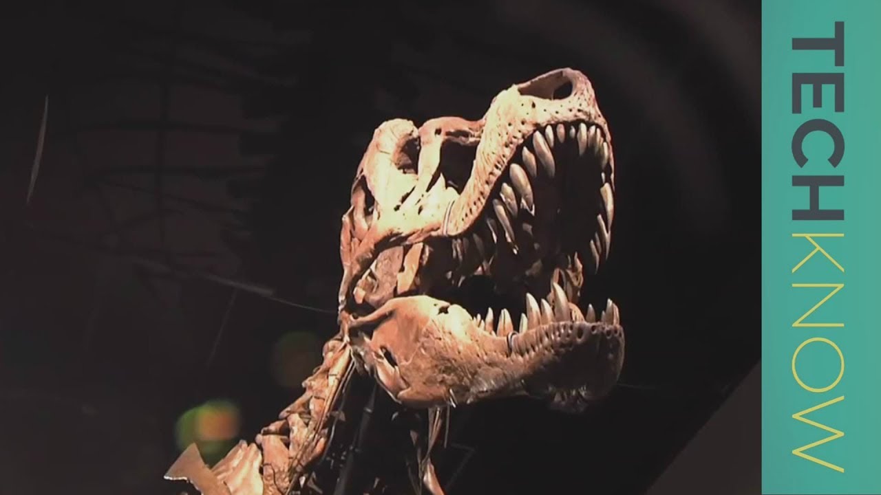 The business of bones | TechKnow