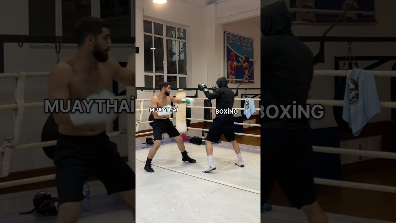 KİNG?!#boxing #muaythai #mma #wrestling #karate #kickboxing
