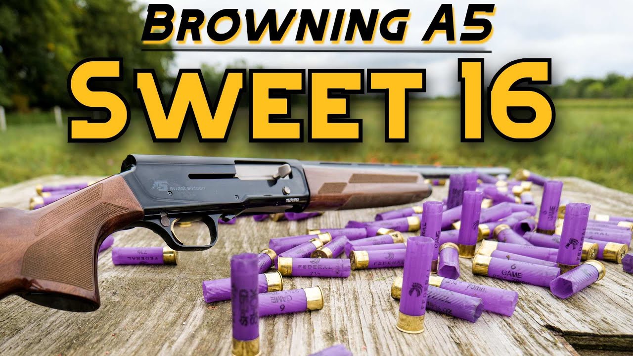 Обзор дробовика Browning A5 Sweet 16