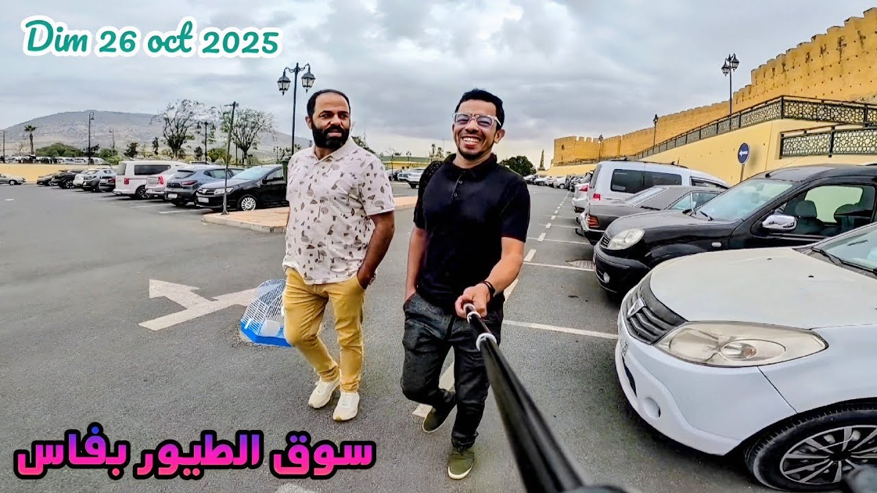 سوق الطيور باب الگيسة فاس، للبيع inseparable calopcitte perruche chardonneret  كناري canari  2025