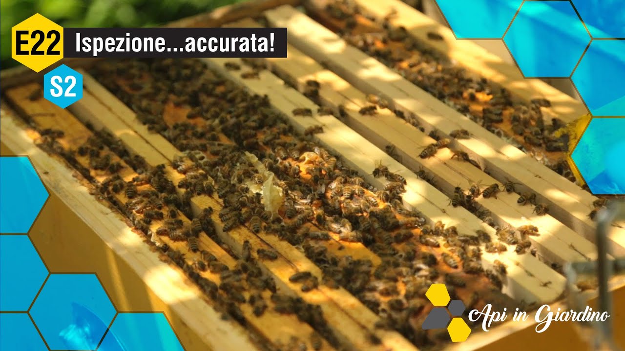 AiG - S2 E22 - Ispezione... Accurata!